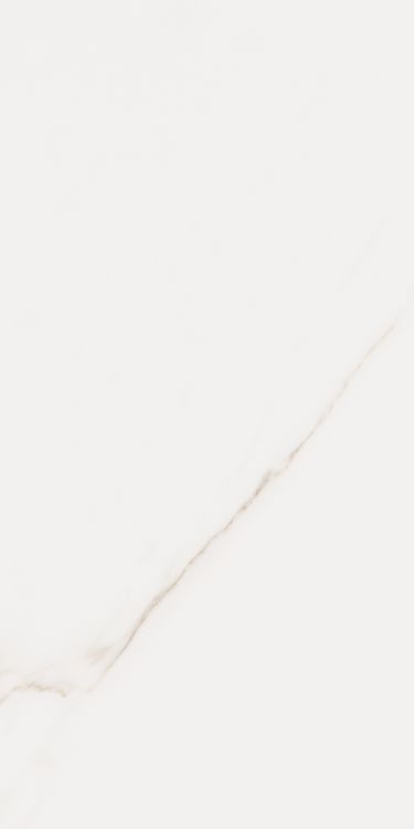 Omnia Calacatta Levigato 12 x 24